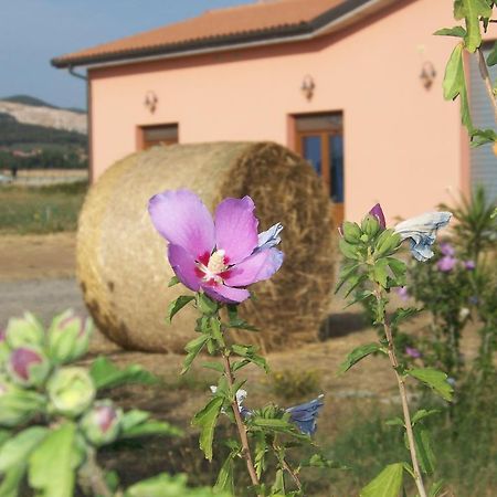 Agriturismo La Nocciolina Вентурина Экстерьер фото