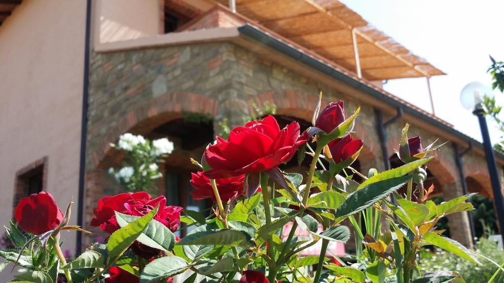 Agriturismo La Nocciolina Вентурина Экстерьер фото