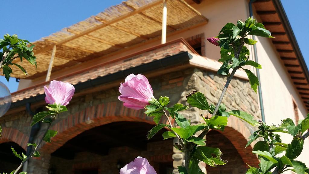 Agriturismo La Nocciolina Вентурина Экстерьер фото