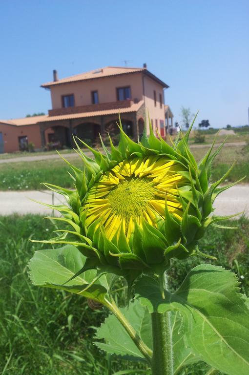 Agriturismo La Nocciolina Вентурина Экстерьер фото