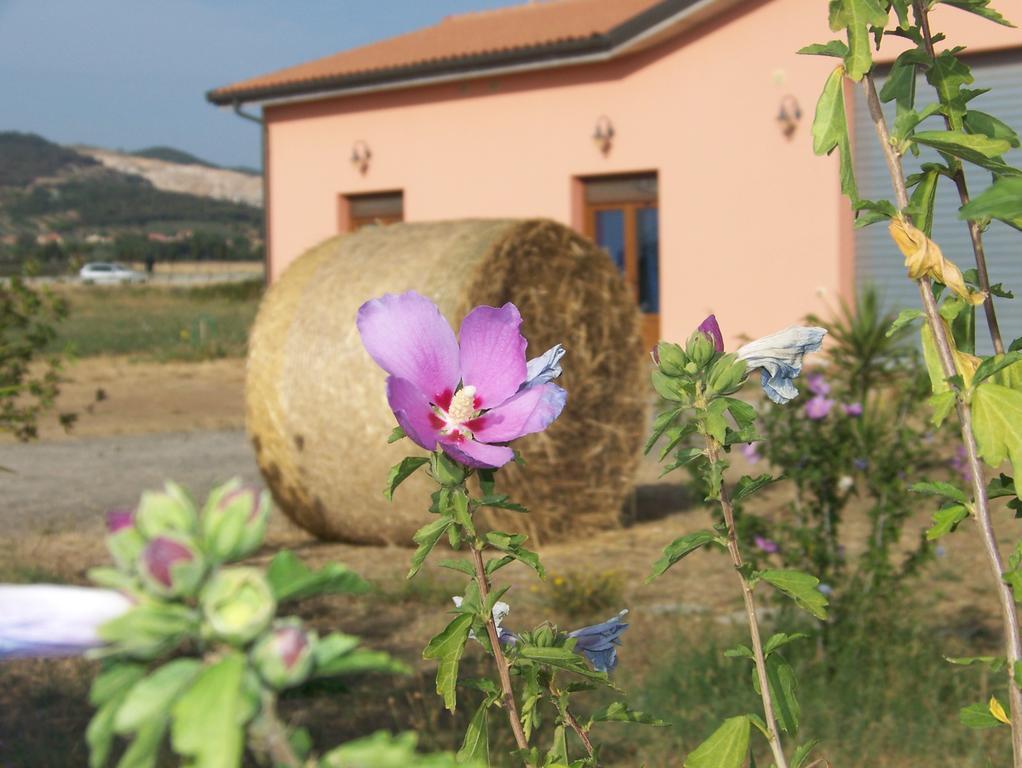 Agriturismo La Nocciolina Вентурина Экстерьер фото